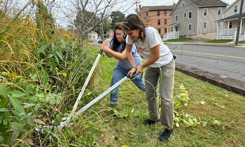 Campus Sustainability Work on the Rise